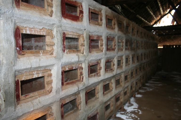  NUÔI SAI, HẠI LỚN – ĐÃ ĐẾN LÚC CẦN THẮT CHẶT QUẢN LÝ NUÔI THƯƠNG MẠI ĐỘNG VẬT HOANG DÃ