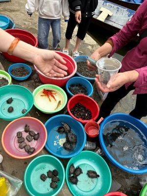 VU LAN TÍCH ĐỨC, KHÔNG PHÓNG SINH RÙA