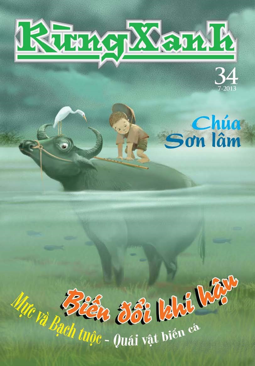 Rừng xanh số 34