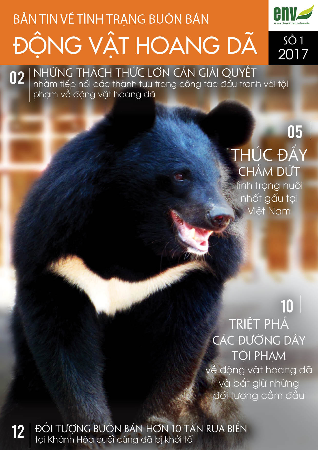 Bản tin tháng 2/2017