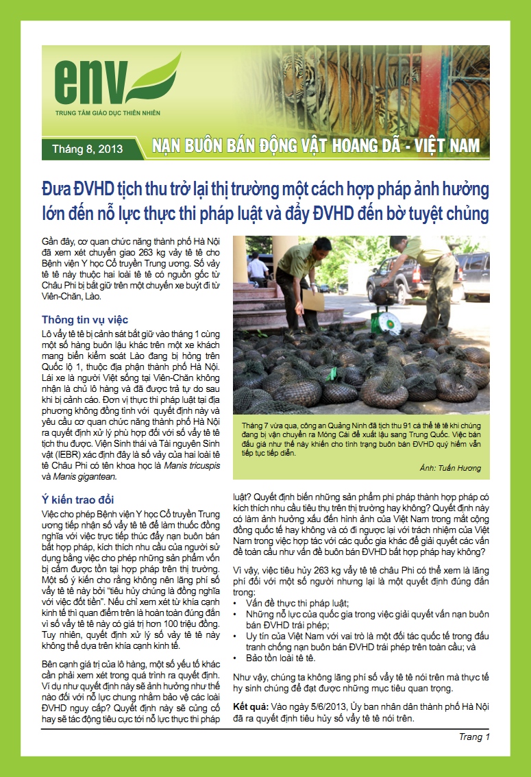 Bản tin tháng 8/2013