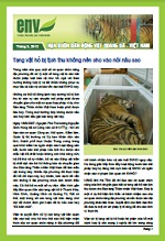 Bản tin tháng 3/2012