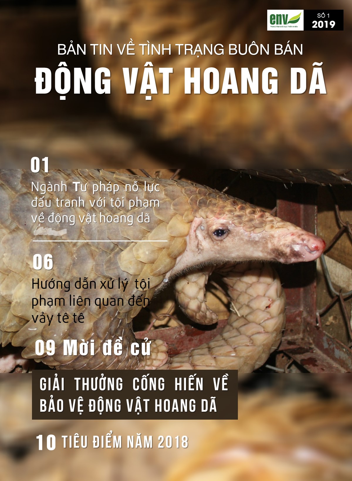 Bản tin số 1/2019