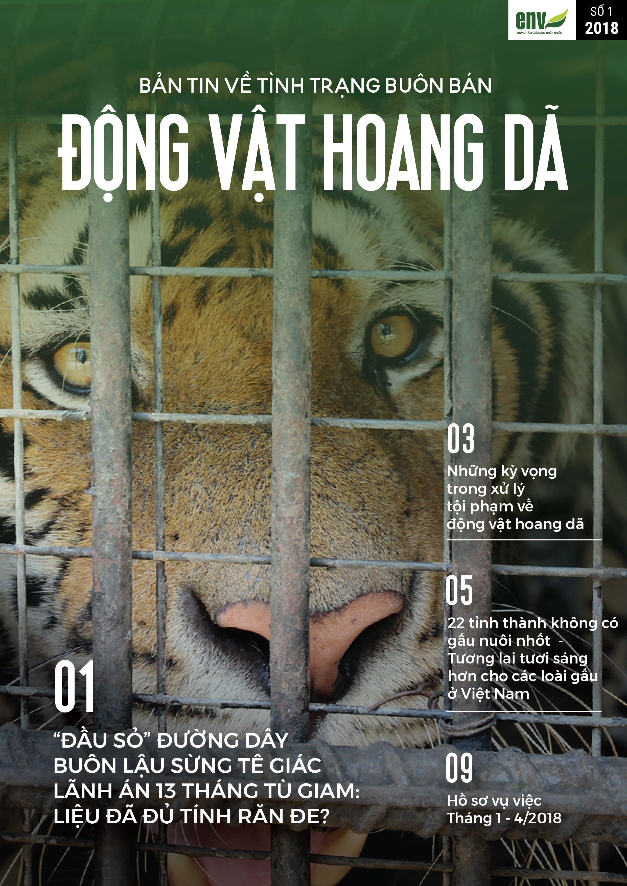 Bản tin số 1/2018