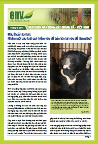 Bản tin tháng 6/2011