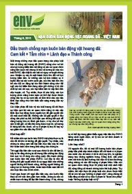 Bản tin tháng 8/2011