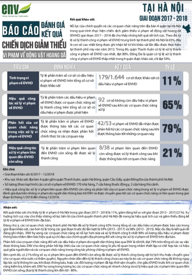 Báo cáo đánh giá hiệu quả xử lý các vi phạm về ĐVHD (2017 - 2018)