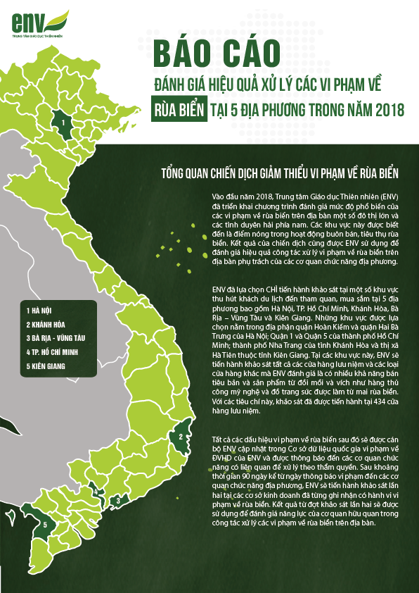Báo cáo hiệu quả xử lý vi phạm rùa biển tại 5 địa phương 2018