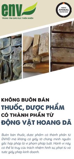 Không buôn bán thuốc, dược phẩm có thành phần từ ĐVHD