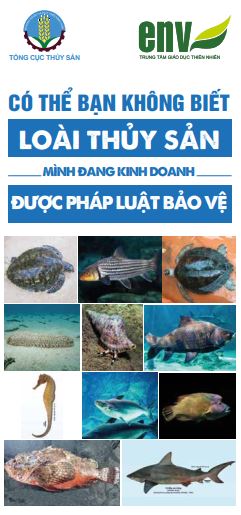 Các loài thủy sản được pháp luật bảo vệ