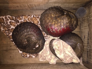 Không phải lúc nào điều kỳ diệu cũng đến đúng lúc