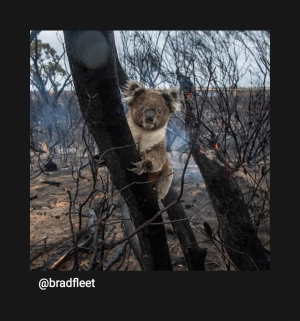 Hôm nay là cháy rừng, ngày mai sẽ là gì?