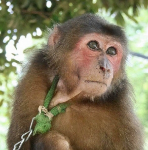 CHÚNG TA KHÔNG THUỘC VỀ NHAU