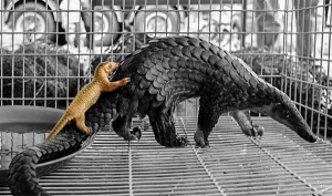 MẸ ƠI, MẸ ĐÂU RỒI?