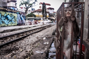 Hỡi những chuyến tàu xuôi ngược, bao giờ tôi được tự do? 