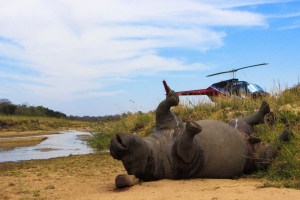 KHI TÊ GIÁC NGÃ XUỐNG...