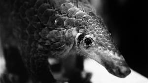 HÃY THAY ĐỔI CÁCH NHÌN!