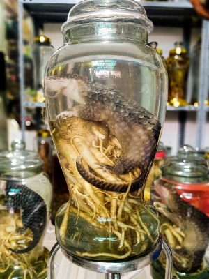 NỖI BUỒN CHẲNG THỂ ĐÁNH GỤC TÔI NỮA RỒI!