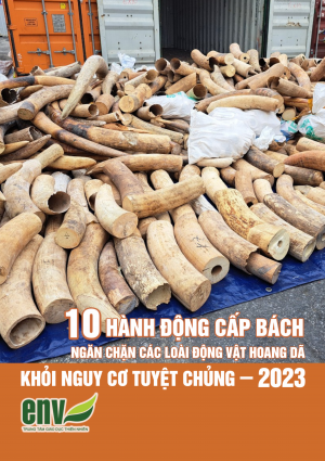10 hành động cấp bách ngăn chặn các loài động vật hoang dã khỏi nguy cơ tuyệt chủng 2023