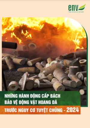 Những hành động cấp bách bảo vệ ĐVHD trước nguy cơ tuyệt chủng 2024