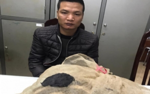 Bắt giữ đối tượng vận chuyển động vật hoang dã quý hiếm tại Hà Nội