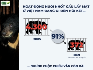 CHẶNG ĐƯỜNG 15 NĂM