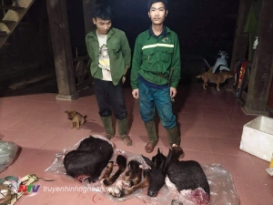 Bắt hai đối tượng giết hại sơn dương tại rừng Pù Mát