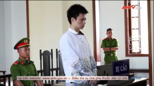 Xét xử đối tượng mang 11 sừng tê giác về Việt Nam thời điểm dịch