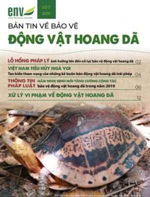 Bản tin số 2/2019