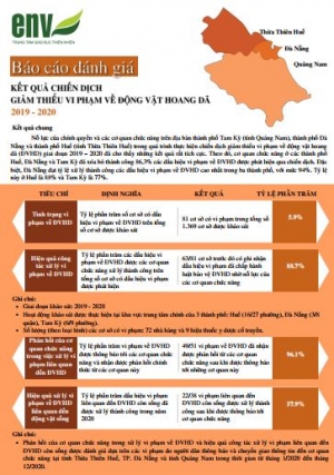 Báo cáo đánh giá Kết quả chiến dịch Giảm thiểu vi phạm về động vật hoang dã 2019 - 2020