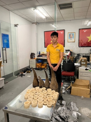 Hà Nội: 12 năm tù cho đối tượng vận chuyển trái phép sừng tê giác và ngà voi từ Angola về Việt Nam