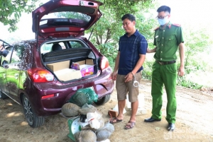 Nghệ An bắt đối tượng vận chuyển trái phép 6 cá thể tê tê
