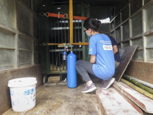 Hải Dương: Chuyển giao một cá thể gấu nuôi nhốt hơn 15 năm đến trung tâm cứu hộ