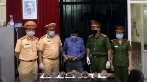 Bắt giữ nhân viên đường sắt vận chuyển 17 cá thể rùa quý hiếm