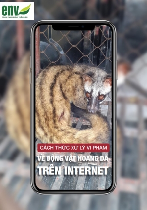 Cách thức xử lý vi phạm về động vật hoang dã trên Internet