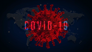 Phim ngắn truyền thông mới nhất Covid-19: Không tiêu thụ động vật hoang dã để bảo vệ sức khỏe của mình và cộng đồng