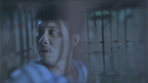 Ra mắt phim ngắn mới về gấu - Cho đi để nhận lại: Tạo phúc cho mình và cho gấu cuộc sống tốt đẹp