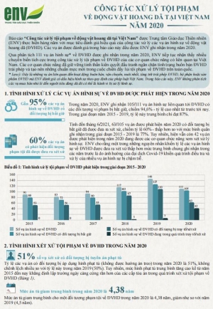 Công tác xử lý tội phạm về ĐVHD tại Việt Nam năm 2020