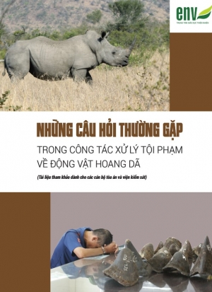 Những câu hỏi thường gặp trong công tác xử lý tội phạm về ĐVHD 2023