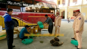 Ninh Bình: Bắt giữ xe tải chở động vật hoang dã, hàng hóa không giấy tờ