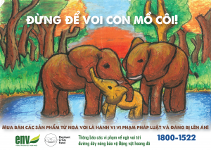 Đừng để Voi con mồ côi