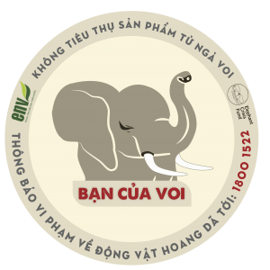 Bạn của Voi