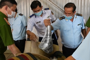  13 năm tù cho đối tượng vận chuyển trái phép gần 10 tấn động vật hoang dã về Việt Nam