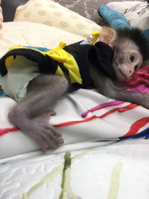 BẠN CÓ NHẪN TÂM…?