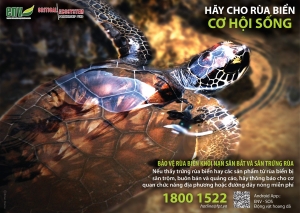 Poster Hãy cho rùa biển cơ hội sống