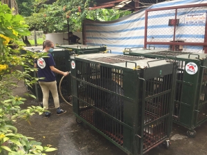 NĂM 2020: GIẢI CỨU VÀ TỊCH THU HƠN 1.100 CÁ THỂ ĐỘNG VẬT HOANG DÃ