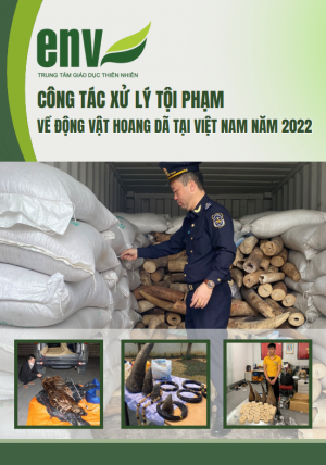 Công tác xử lý tội phạm về ĐVHD năm 2022