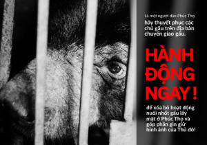 Hà Nội: Phát huy vai trò cộng đồng trong vận động chuyển giao gấu nuôi nhốt