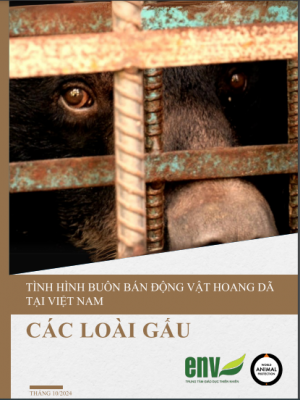 Tình hình buôn bán động vật hoang dã tại Việt Nam - Các loài gấu
