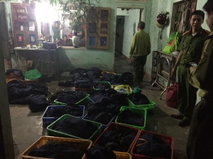 Quảng Nam: Vợ chủ cơ sở gây nuôi động vật hoang dã bị tuyên phạt 5 năm tù vì nuôi nhốt động vật hoang dã trái phép